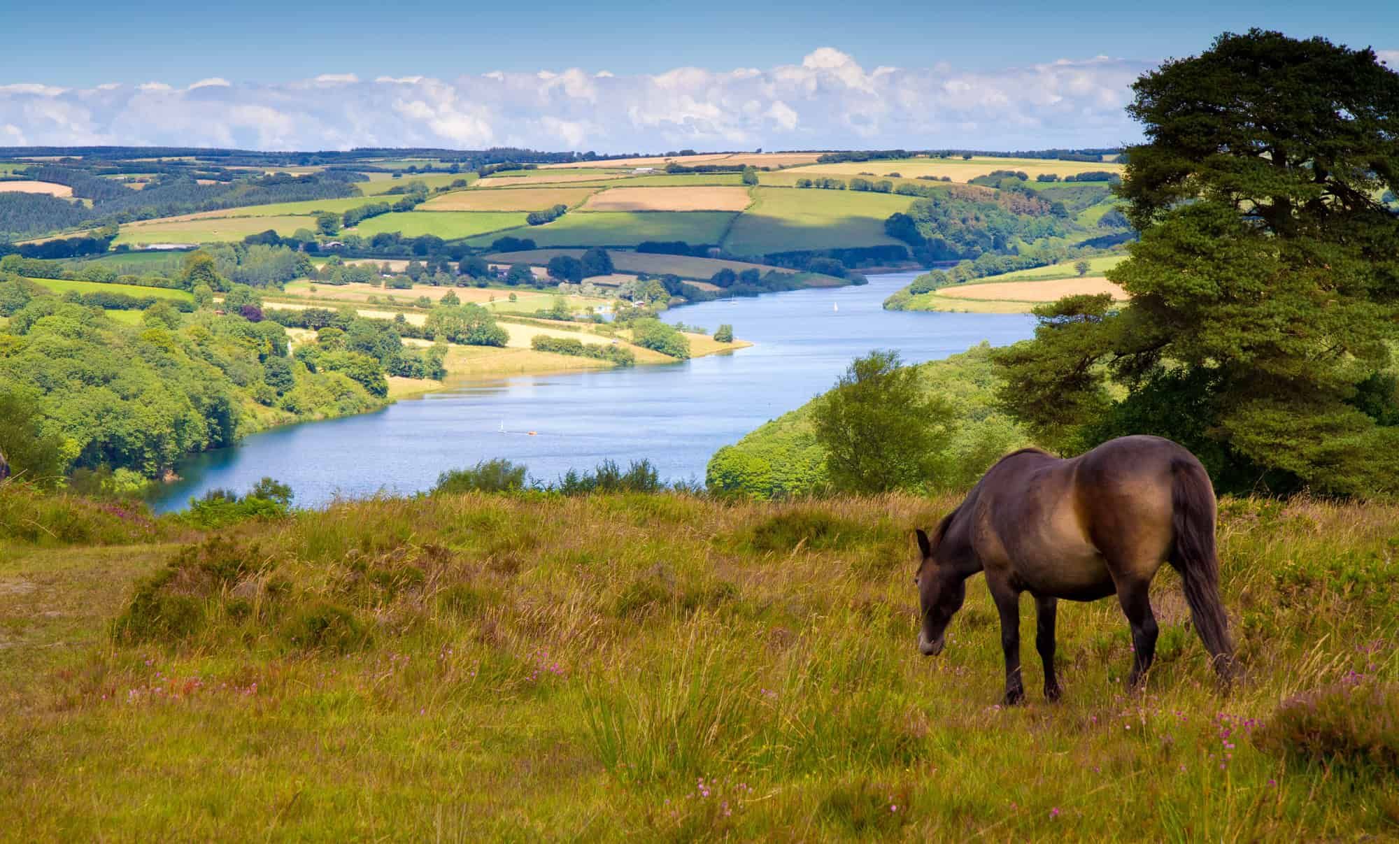 Somerset